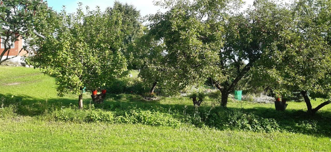 Agroturystyka Nad Czarnym Giby Экстерьер фото