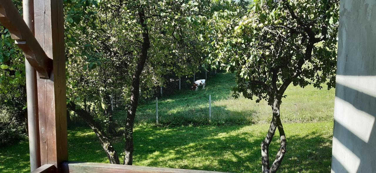 Agroturystyka Nad Czarnym Giby Экстерьер фото